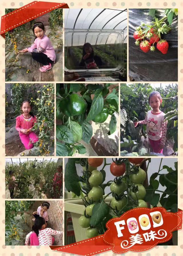 周末可以采摘可以玩的地方,五一不用去淄博可以吃到的烧烤