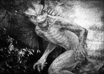 宇宙未解之谜外星文明蜥蜴人,世界上有蜥蜴人真实存在吗