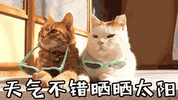 在防晒的路上勤勤恳恳,在防晒前涂什么