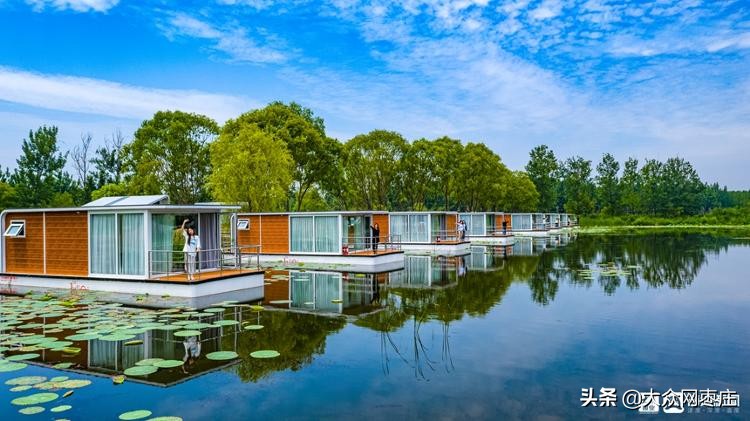 滕州湿地红荷节开幕式,第十九届滕州微山湖红荷节开幕