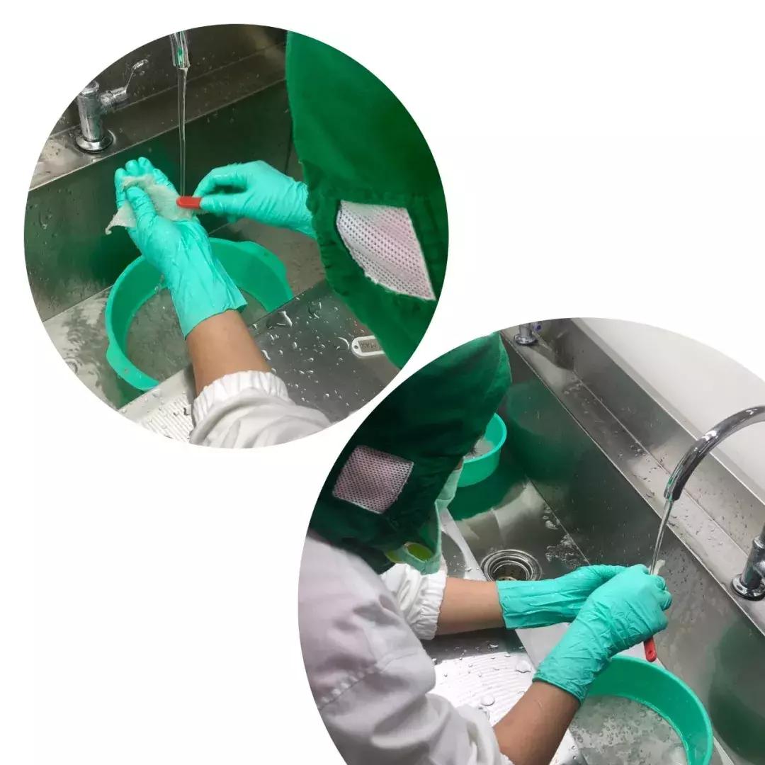 最全的燕窝知识科普,燕窝科普篇