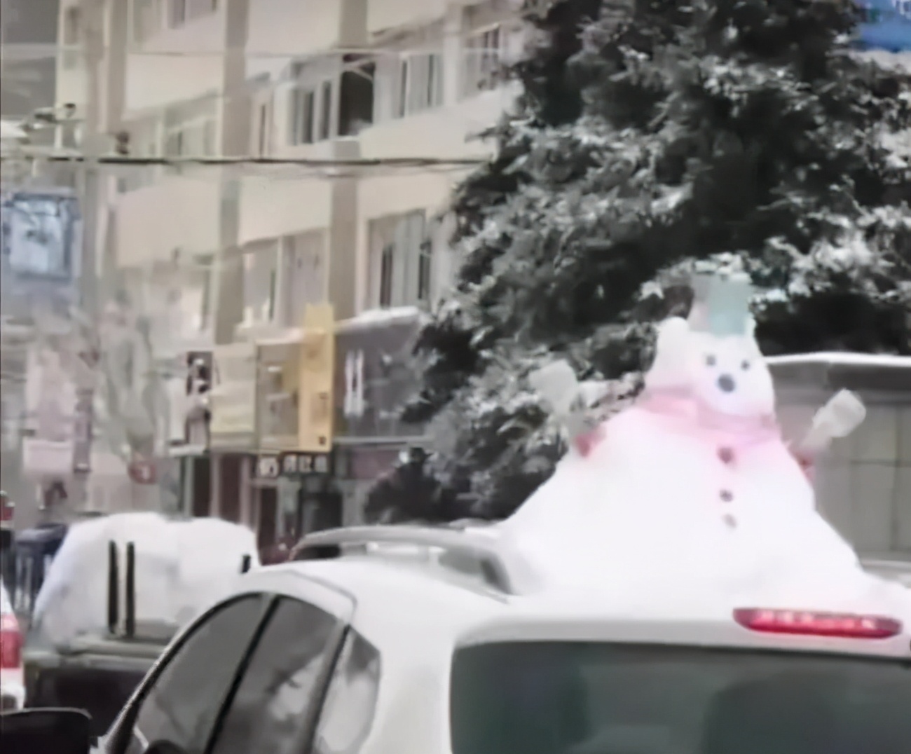 抓住冬天的小尾巴什么意思,抓住冬天的小尾巴再帅一把