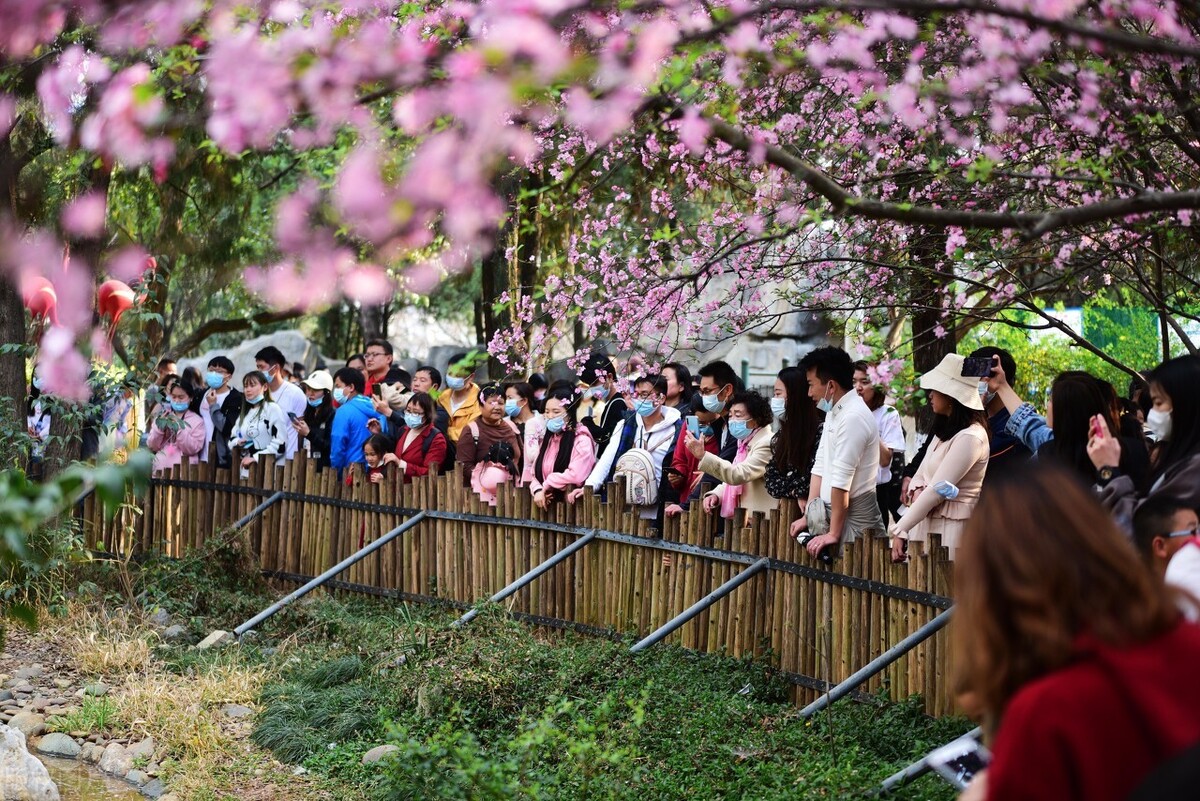昆明市内游玩好去处 (云南昆明最值得玩的地方)