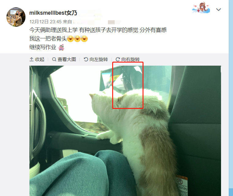 董花花穿粉色半身长裙照片,落魄的阔太太