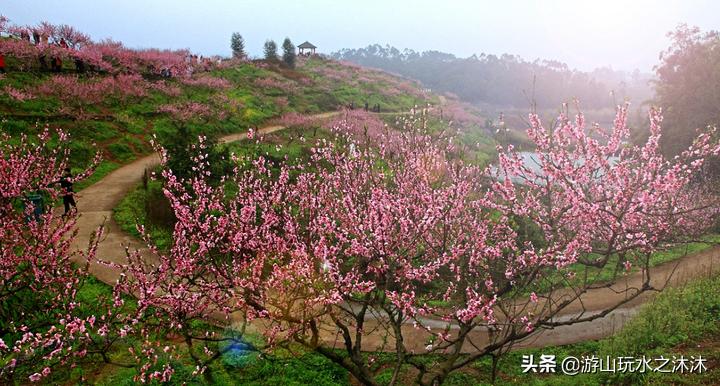 永川吃喝玩乐特色街,永川美食攻略必去的地方
