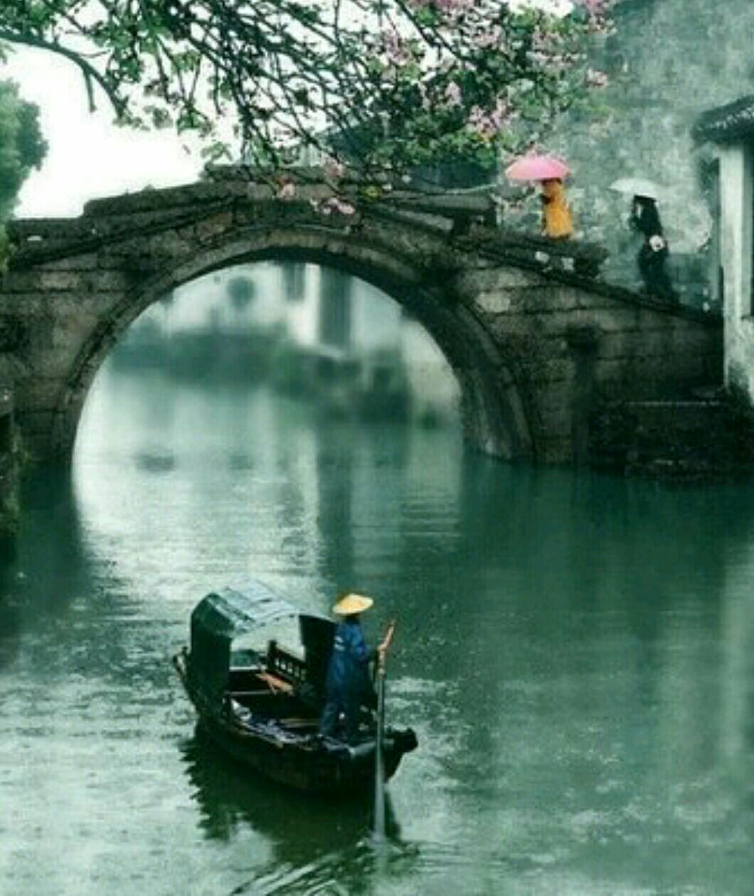 山有木兮木有枝的歌曲,山有木兮木有枝的背景音乐