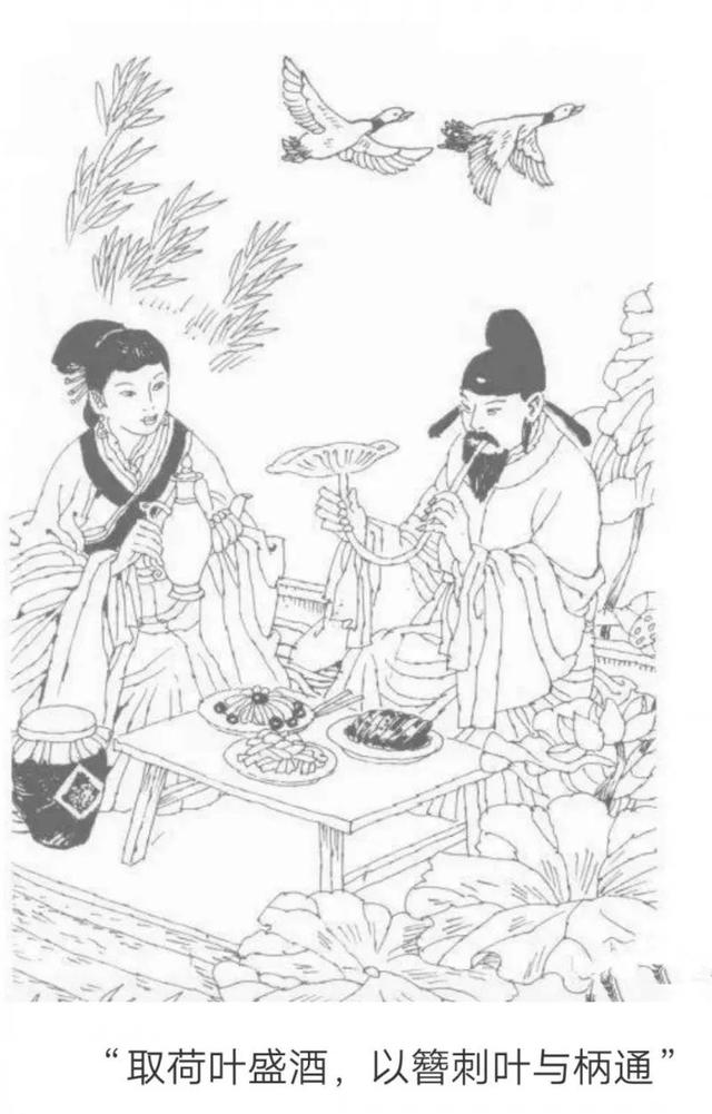 赏荷花情景教学,江南荷花开西湖赏荷寻味攻略