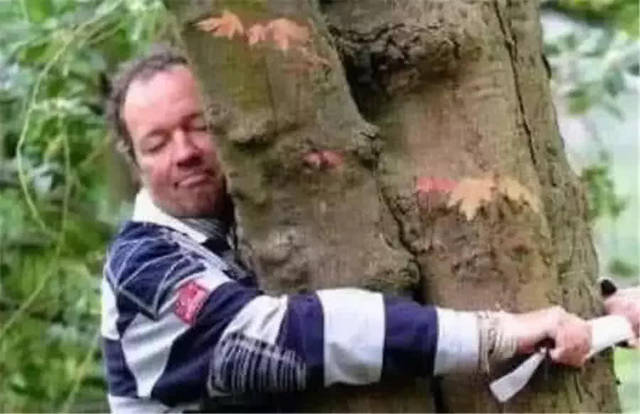 世界吉尼斯之最：王者荣耀连胜最多的人，赵丽颖意外上榜