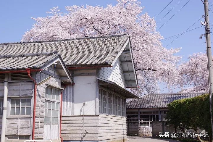 又到群马,这次不谈秋名山和巴西小镇,谈个日元“新先生”