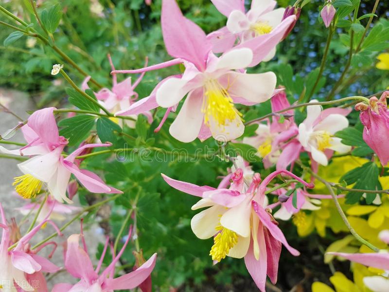 婆婆:当父母的花你们钱怎么了?我:经过我同意吗?凭什么?