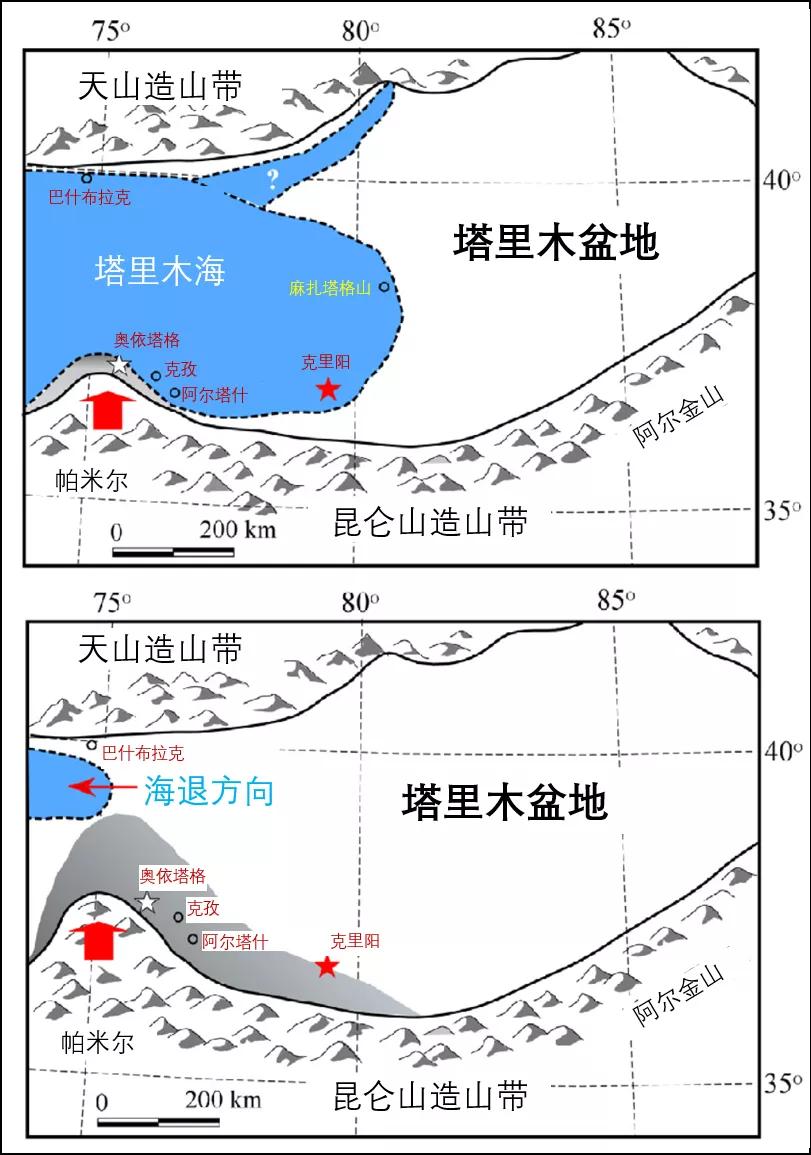 新疆塔里木大沙漠风景,除了沙漠树森林树还有什么