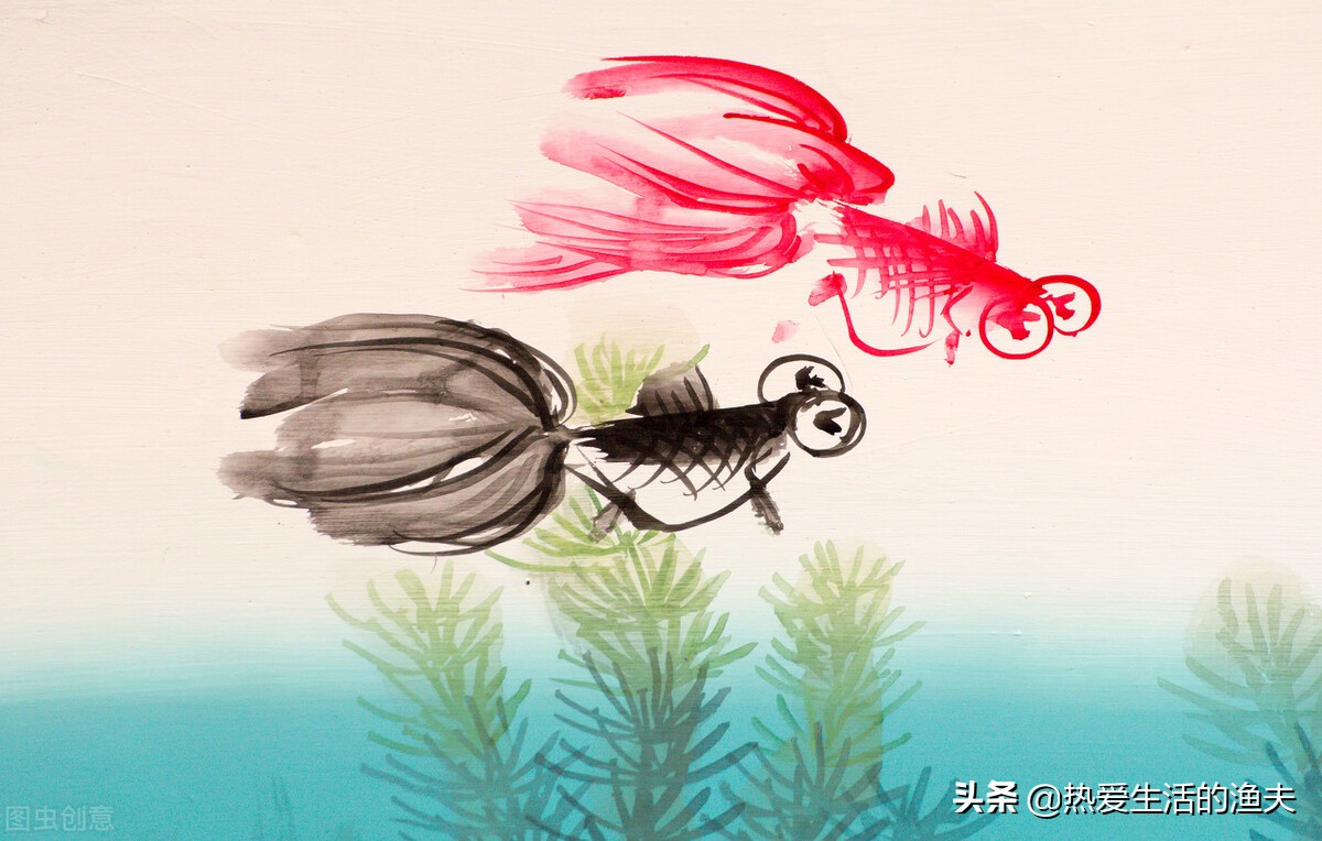 金鱼五六天不喂食会饿死吗,金鱼几天不喂食会不会死掉