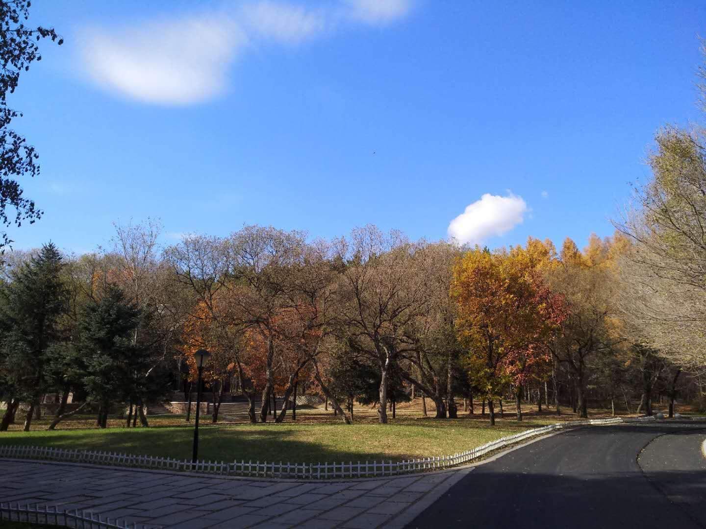 读写障碍怎么彻底治疗,读写障碍有什么解决的方法