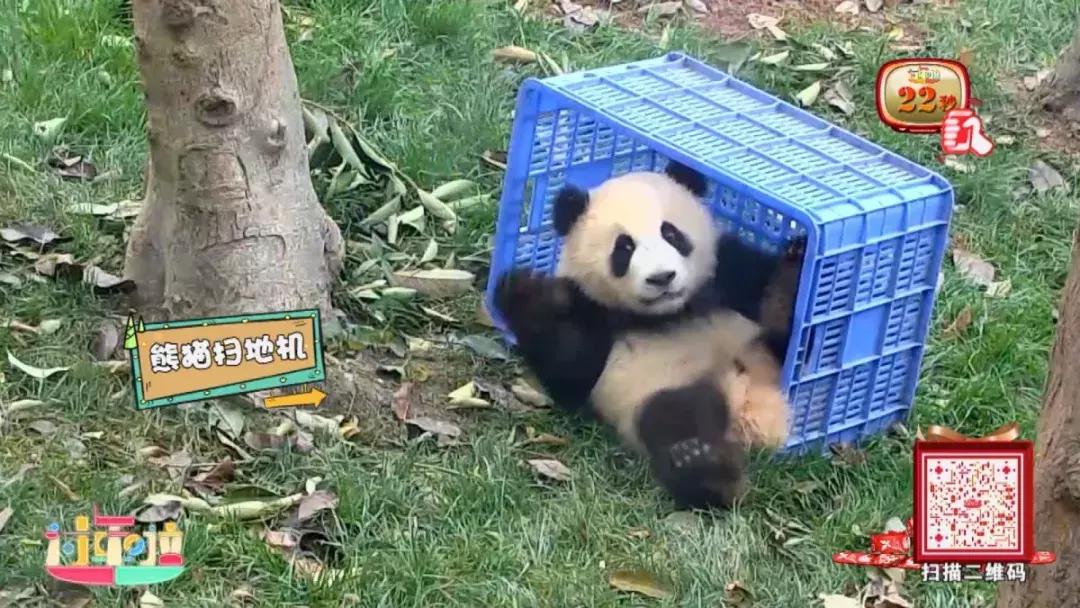 鞠萍姐姐走进三门核电,鞠萍姐姐谍影重重