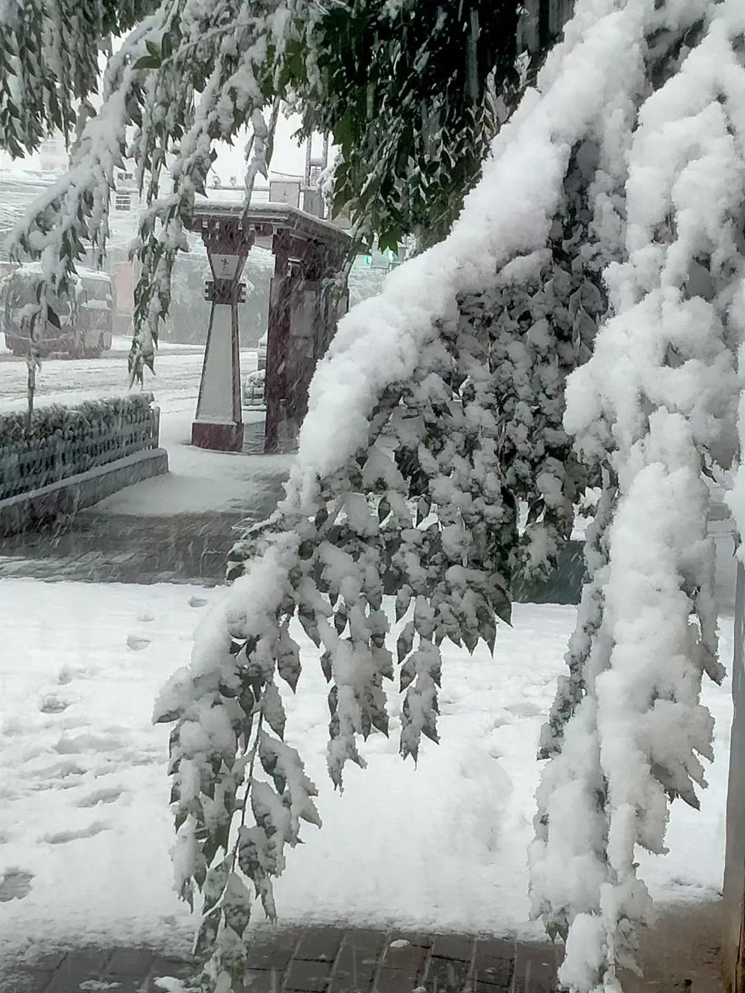 平凉崆峒区四路车现在停运了吗,平凉长途客车停运了吗