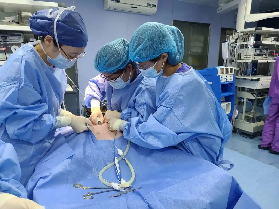 2022年妇产科宫腹腔镜培训班,十院妇产科