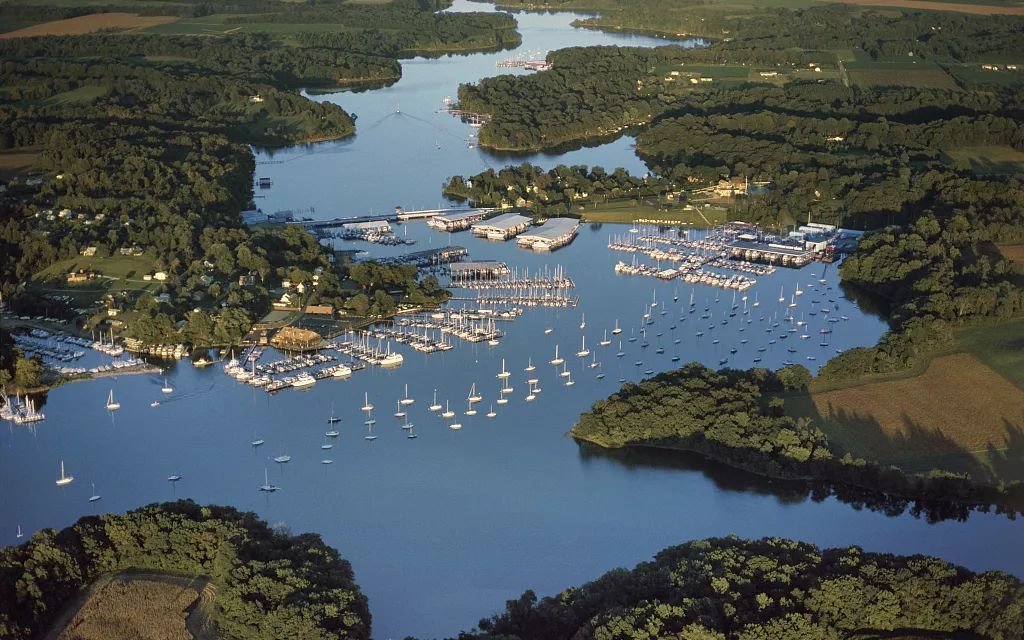 北海候鸟最多的地方,广西北海候鸟过冬最近新视频