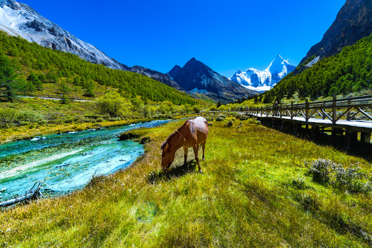 为什么想要去稻城亚丁,为什么要去一趟稻城亚丁