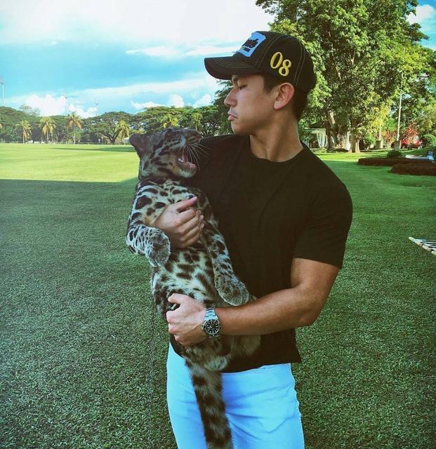 文莱王子来华,文莱王子个人资产