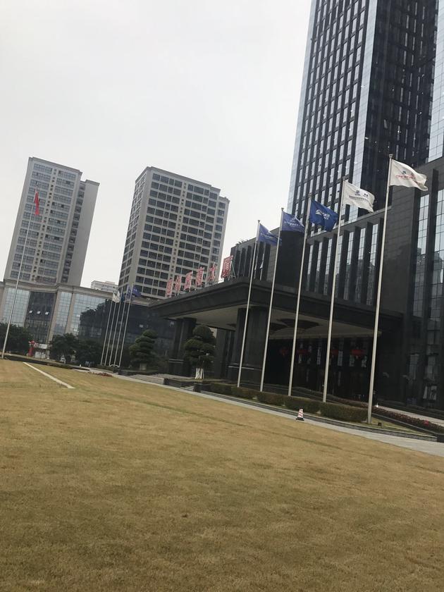 锤子辟了一年的谣，然而成都总部已变成华区国税局