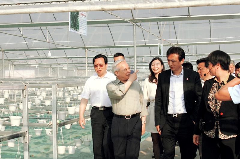 澳门首富何鸿燊传奇人生,澳门比何鸿燊更有钱的人