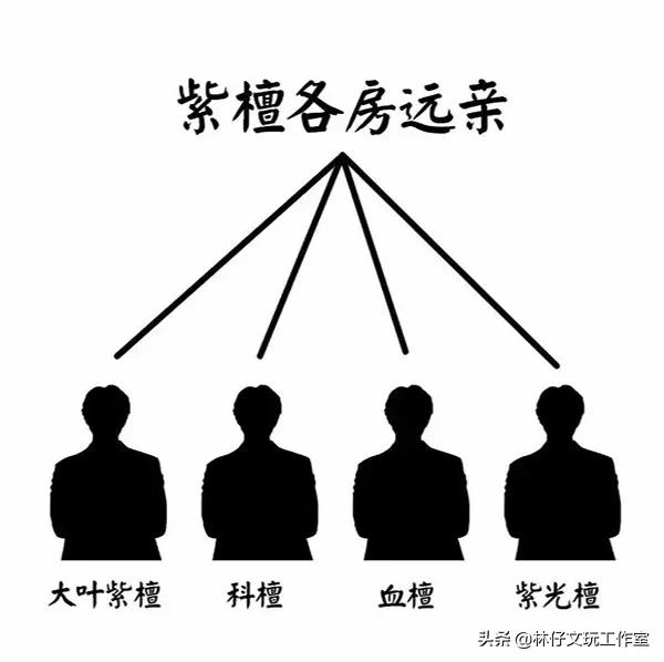 印度小叶紫檀树苗鉴别方法,怎样鉴别印度小叶紫檀二胡好坏