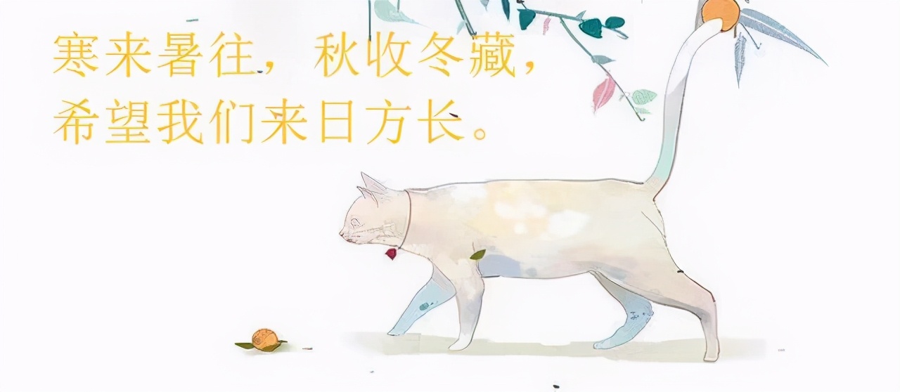 西幻是喜欢的意思吗,西幻人物性格