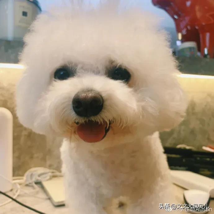 “重男轻女”的原生家庭，让我们到底失去了多少房四井？