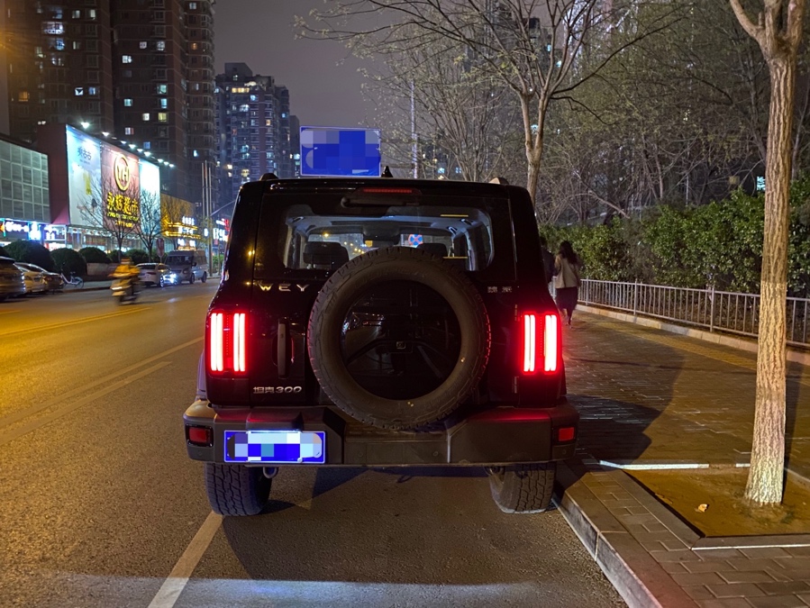 知耻而后勇的深度解析,知耻而后勇的感悟