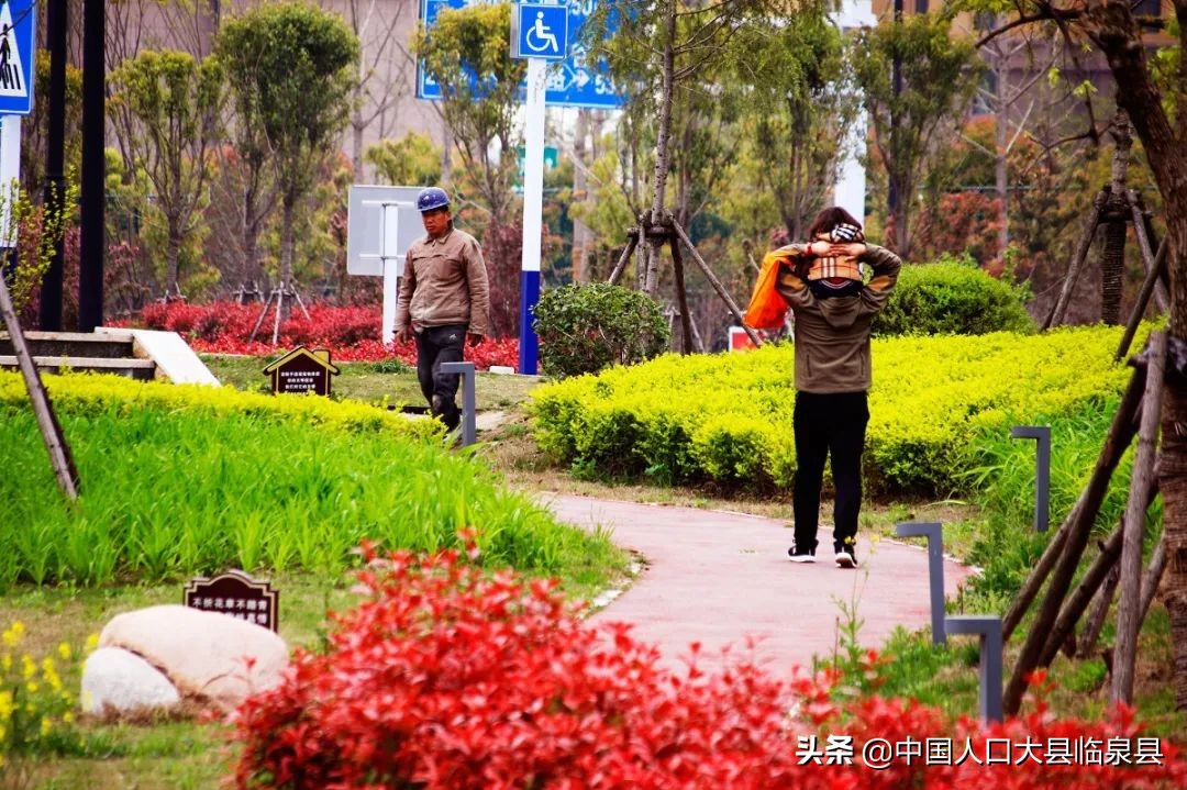 临泉县未来的样子！期待越来越好