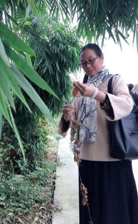 都江堰石羊镇桃花岛,旅行都江堰攻略