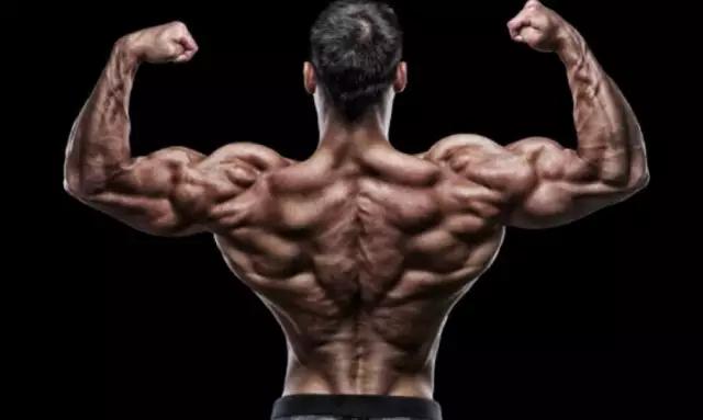 健身期间怎么补充膳食纤维,健身期间怎么补充能量