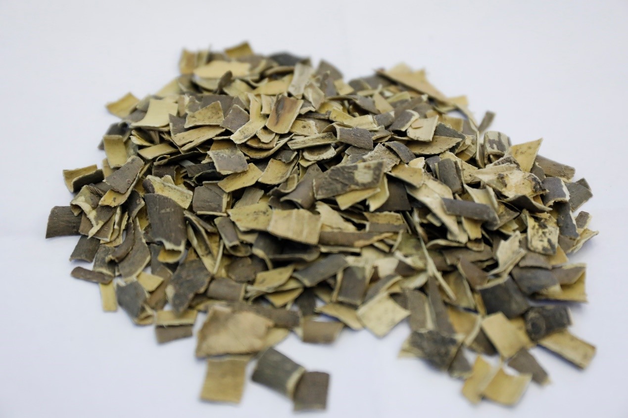 每周一药神曲完整版,每日一药延胡索