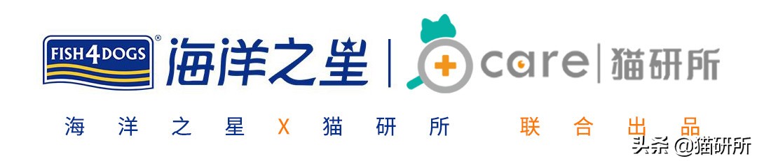 对猫的误解狂犬病,关于猫的冷知识有哪些