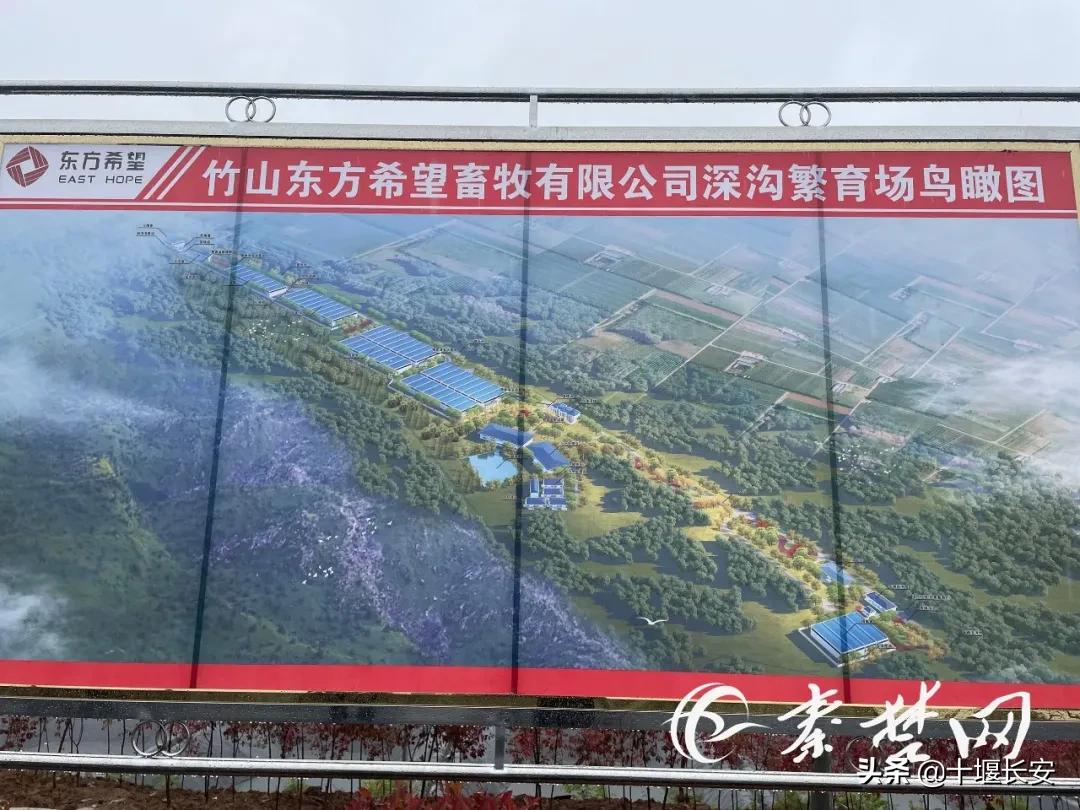 亚波书记带队奔赴十堰这些县市区,现场点评来了!