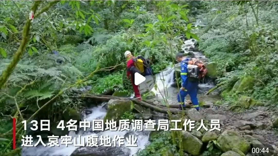 芳踪难觅濒危花！清新治愈篇：沙漠高原是吾家，豹子花的春天来了