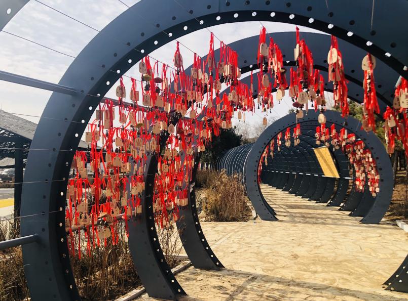 沈阳暂停祭扫服务,沈阳殡仪馆火葬最新消息