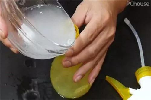 有什么生活小妙招可以清除跳蚤,床上跳蚤的生活小妙招