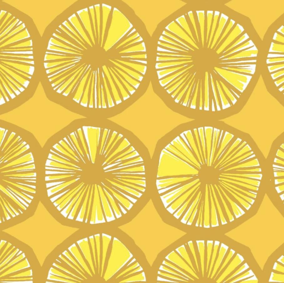 如果说夏天是水果味儿的，哈卷第一个赞成