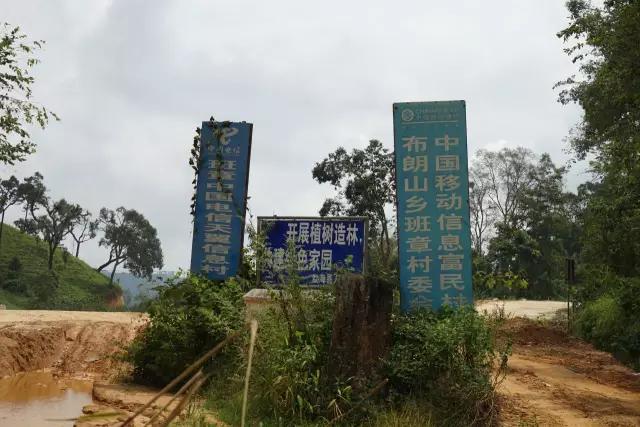 为什么在网上买不到合适的茶,网上买的茶为什么不好