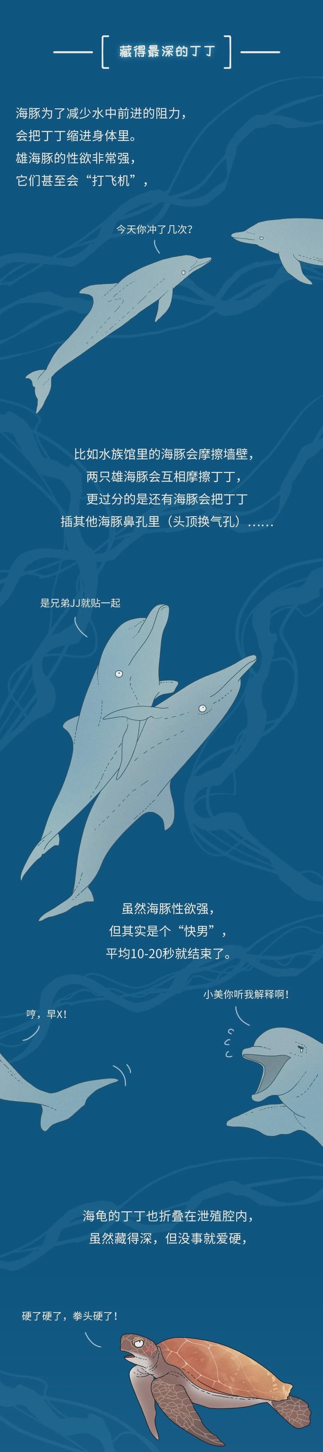 为什么同样是丁丁,差距却这么大?34cm竟然排垫底