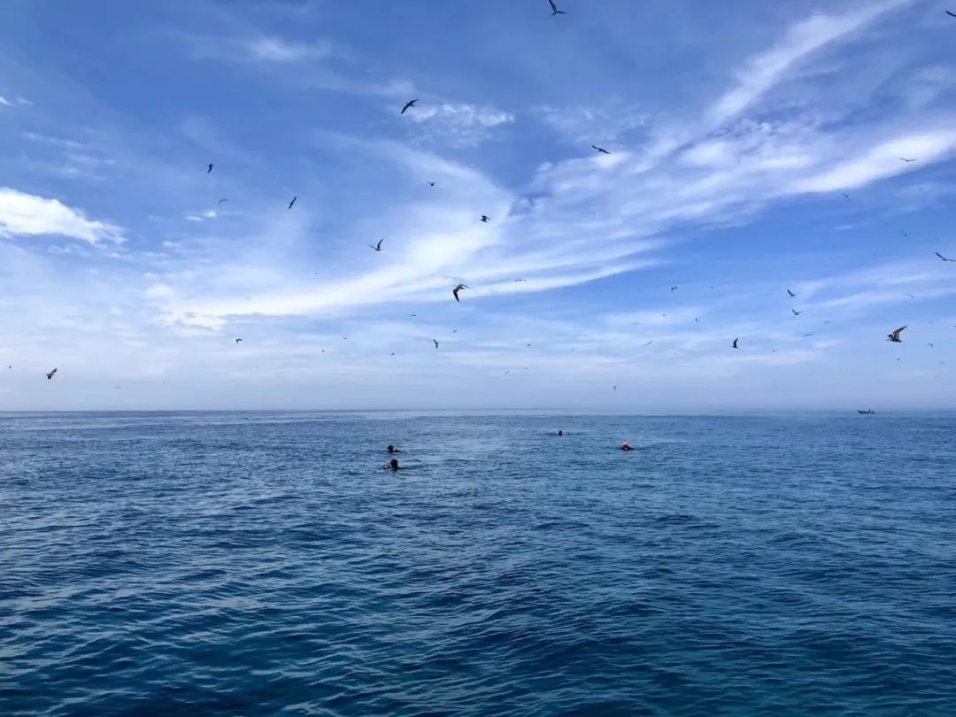 厦门不止鼓浪屿,厦门不止有海还有茉莉花