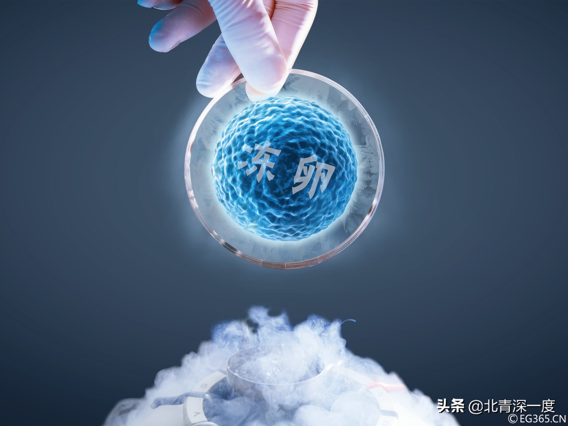 花十余万赴美冻卵晚育女性寻找另一种人生可能