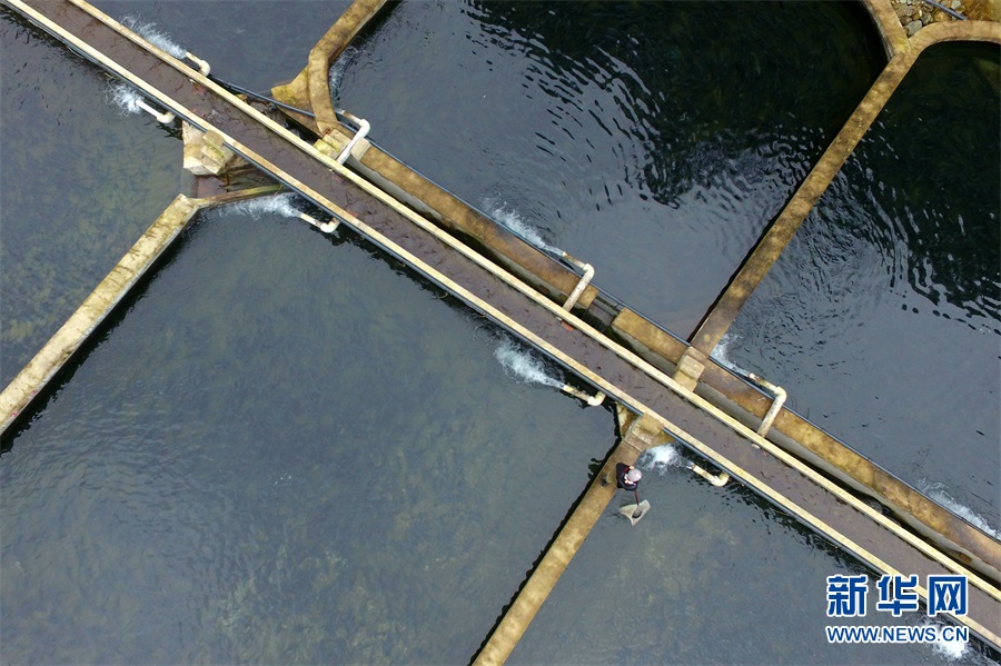 美人鱼白手起家,美人鱼创业