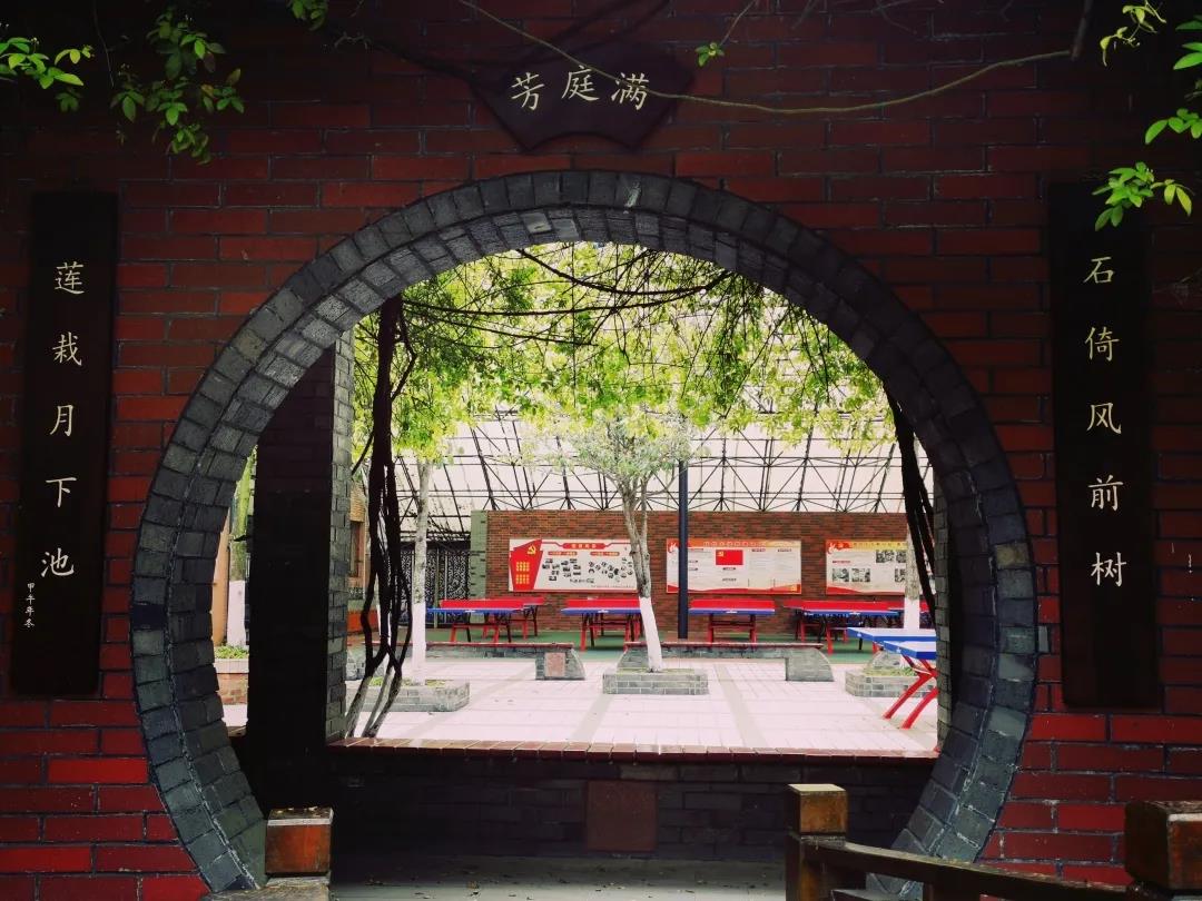 成都五朵金花小学是哪几个,成都小学五朵金花是哪五朵