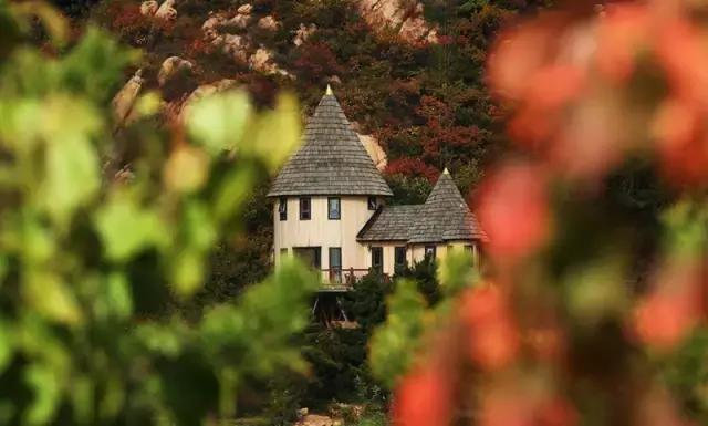 国内野奢酒店民宿排名榜,国内30家顶级野奢酒店