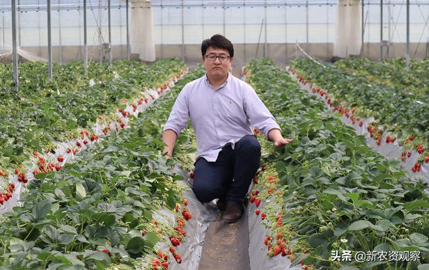 专访嗒嗒农服吴迪：深度聚集，技术为王，走出不一样的农服路