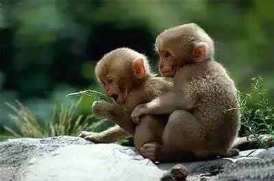 在香港生活需注意的细节,在香港要注意的事