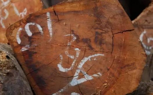 微凹黄檀和交趾黄檀的区别,交趾黄檀与微凹黄檀的区别