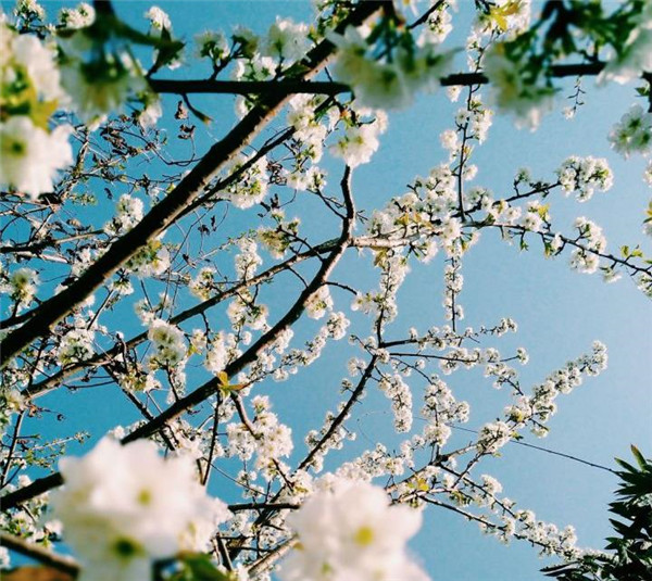 手机拍照很方便为什么要买相机,为什么新手不建议买太贵的相机